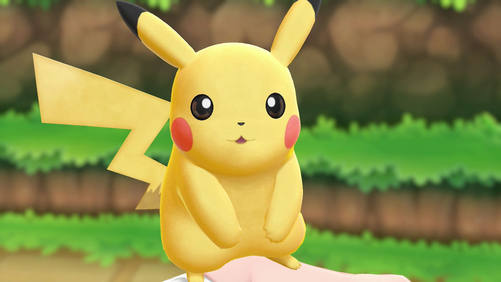 Zberateľ kariet Pokémon sledoval doručovateľku pomocou GPS