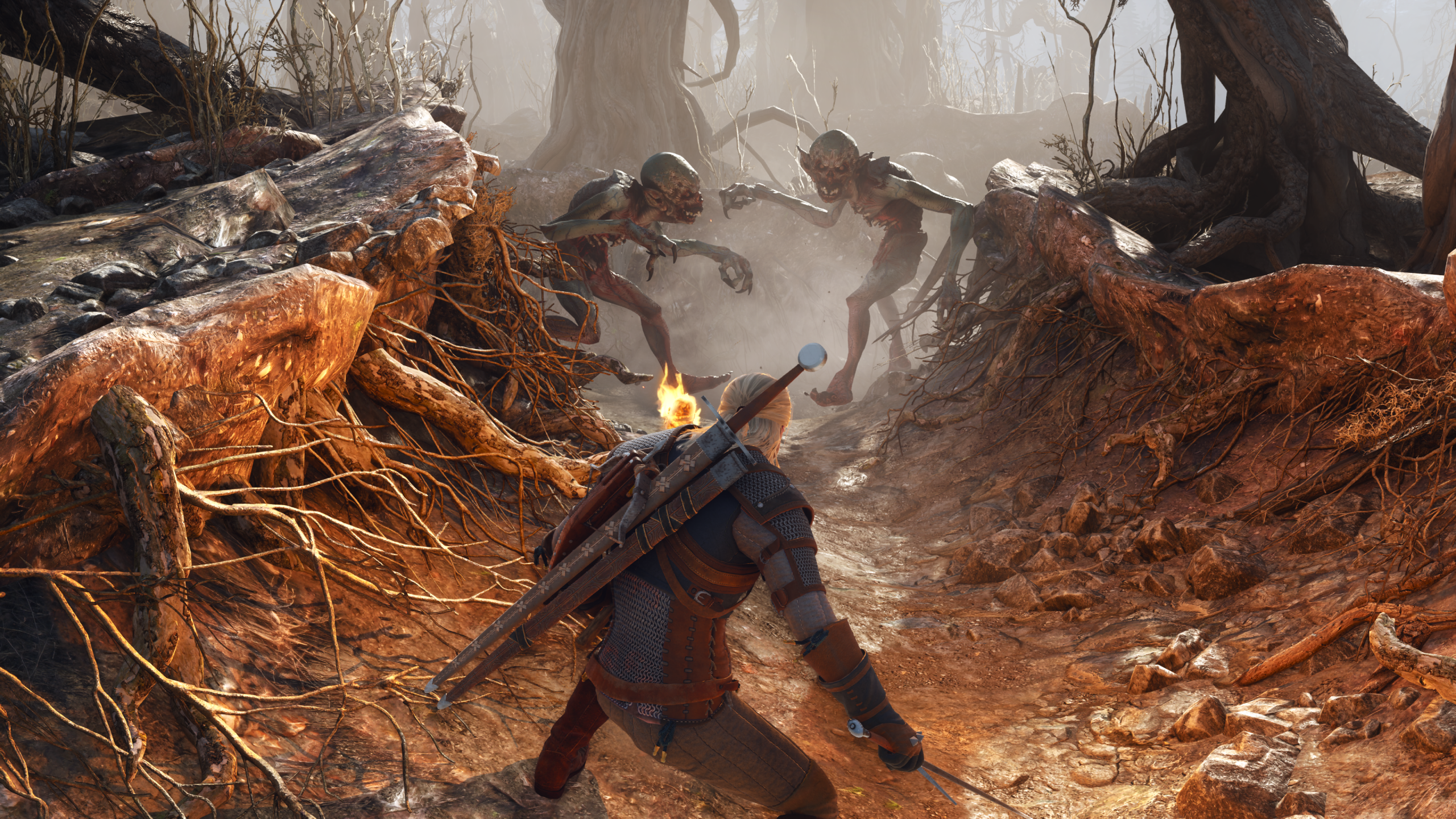 The Witcher 3 Remastered mal na kartách AMD grafické problémy
